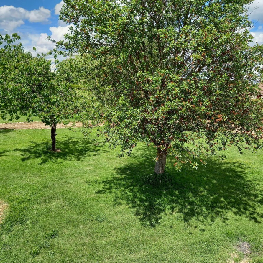 20220530_144803