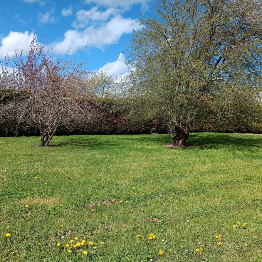APOLLON-JARDIN-3